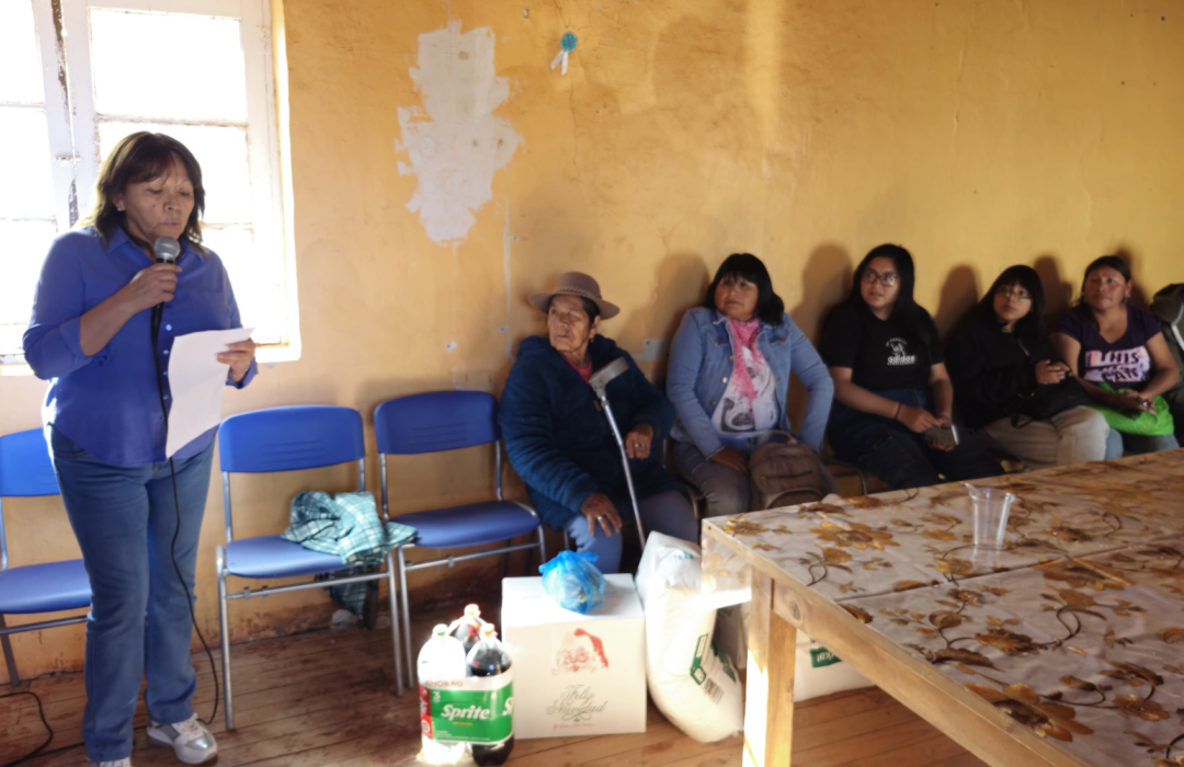 fraternidad reyes morenos de ayquina navidad en cupo 2025 16